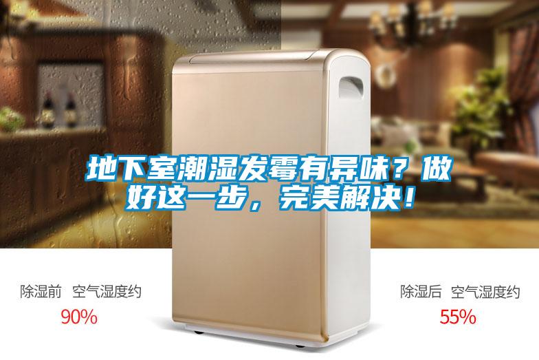 地下室潮濕發(fā)霉有異味？做好這一步，完美解決！