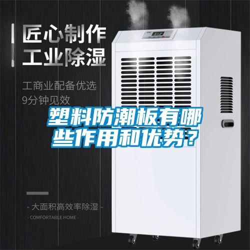 塑料防潮板有哪些作用和優(yōu)勢？