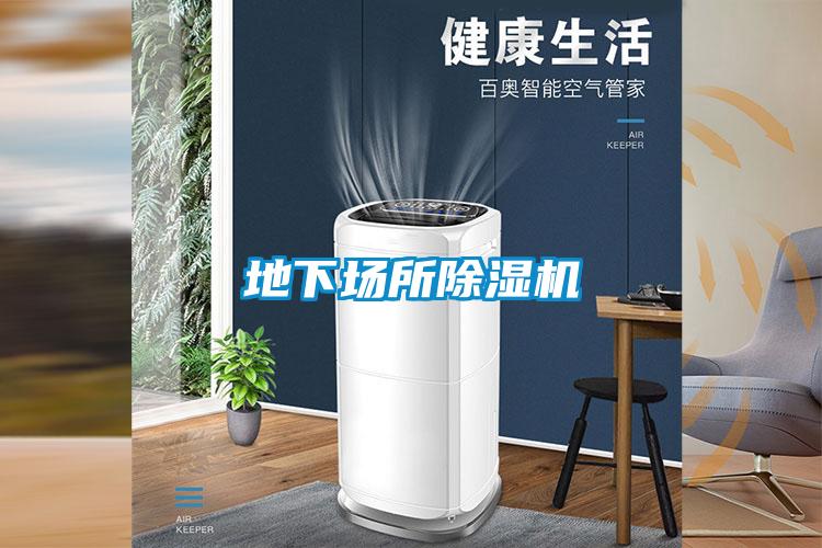 地下場(chǎng)所除濕機(jī)