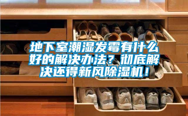 地下室潮濕發(fā)霉有什么好的解決辦法？徹底解決還得新風(fēng)除濕機(jī)！