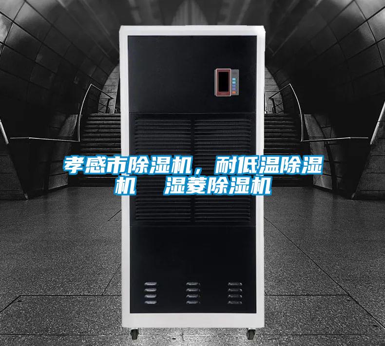 孝感市除濕機(jī)，耐低溫除濕機(jī)  濕菱除濕機(jī)