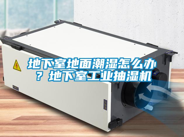 地下室地面潮濕怎么辦？地下室工業(yè)抽濕機(jī)