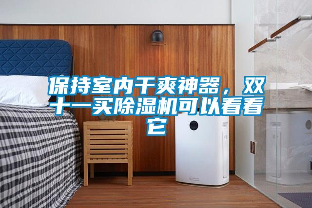 保持室內干爽神器，雙十一買除濕機可以看看它