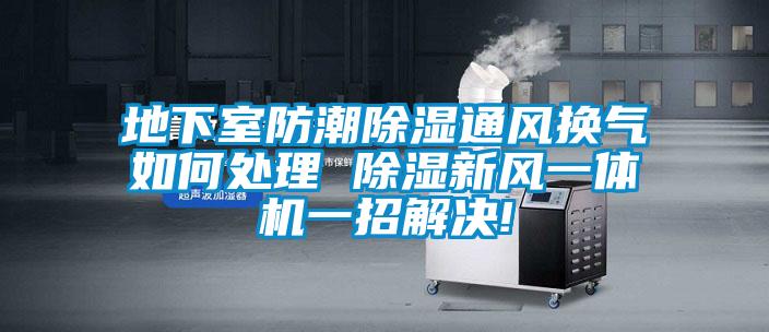 地下室防潮除濕通風(fēng)換氣如何處理 除濕新風(fēng)一體機一招解決!