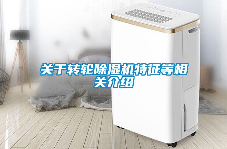 關(guān)于轉(zhuǎn)輪除濕機特征等相關(guān)介紹