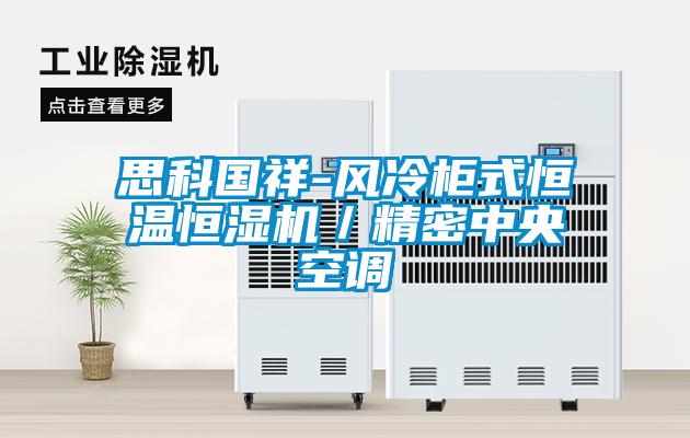 思科國祥-風(fēng)冷柜式恒溫恒濕機／精密中央空調(diào)