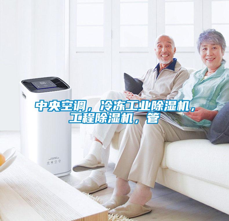 中央空調(diào)，冷凍工業(yè)除濕機(jī)，工程除濕機(jī)，管