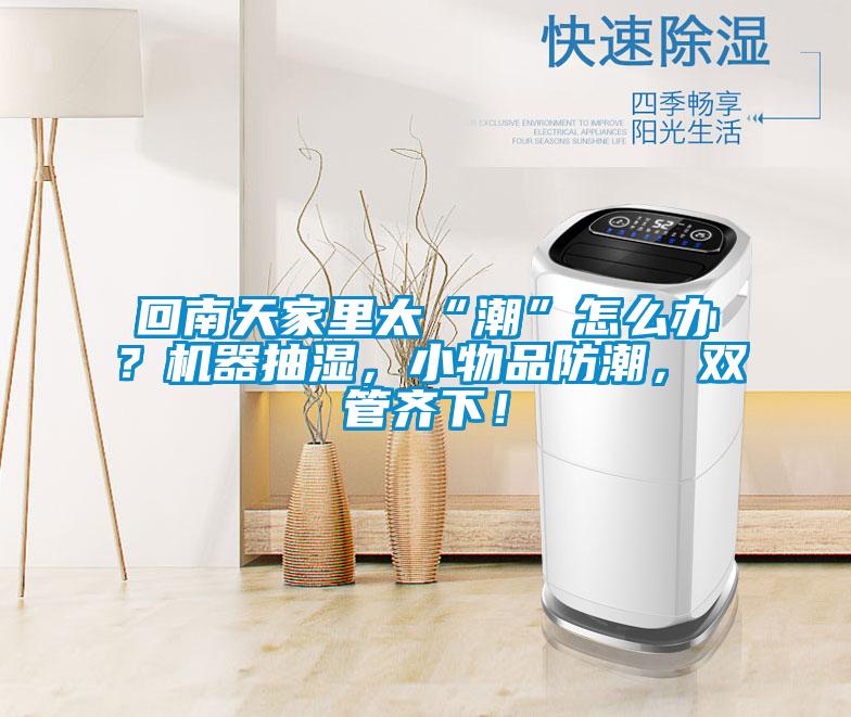 回南天家里太“潮”怎么辦？機器抽濕，小物品防潮，雙管齊下！