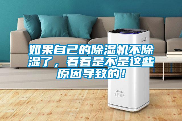 如果自己的除濕機(jī)不除濕了，看看是不是這些原因?qū)е碌模?></div>
								<div   id=