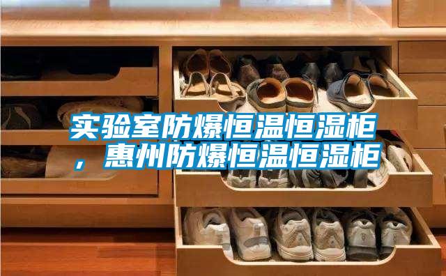 實驗室防爆恒溫恒濕柜，惠州防爆恒溫恒濕柜