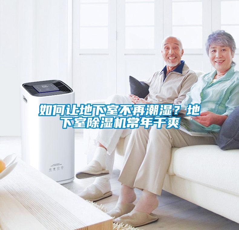 如何讓地下室不再潮濕？地下室除濕機常年干爽
