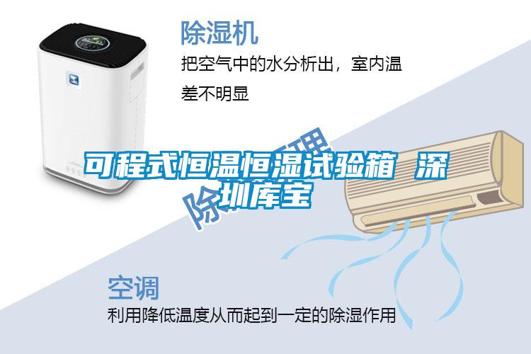 可程式恒溫恒濕試驗(yàn)箱 深圳庫(kù)寶