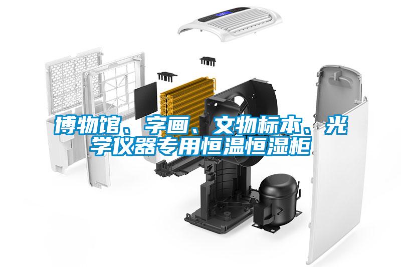 博物館、字畫、文物標本、光學儀器專用恒溫恒濕柜