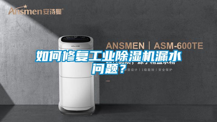 如何修復(fù)工業(yè)除濕機(jī)漏水問(wèn)題？