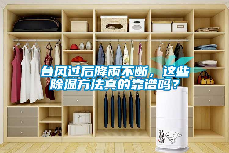 臺風(fēng)過后降雨不斷，這些除濕方法真的靠譜嗎？