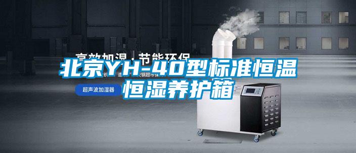 北京YH-40型標準恒溫恒濕養(yǎng)護箱