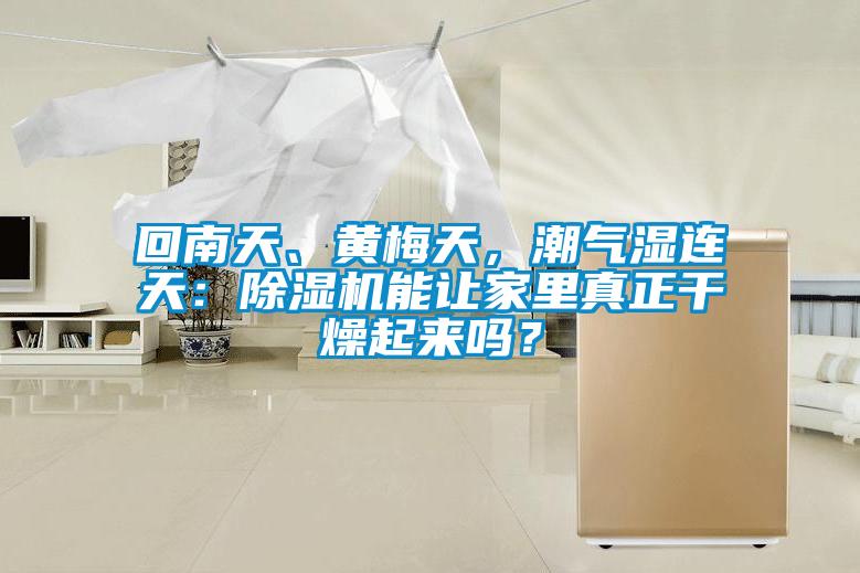 回南天、黃梅天，潮氣濕連天：除濕機(jī)能讓家里真正干燥起來(lái)嗎？