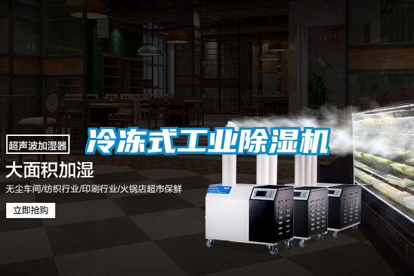 冷凍式工業(yè)除濕機
