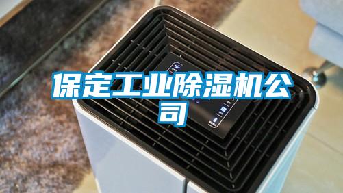 保定工業(yè)除濕機(jī)公司