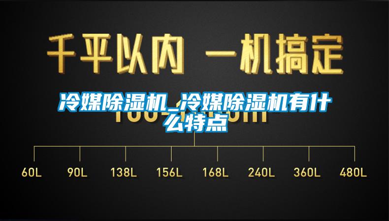 冷媒除濕機(jī)_冷媒除濕機(jī)有什么特點