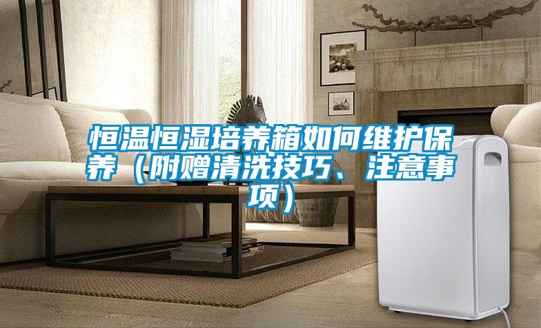 恒溫恒濕培養(yǎng)箱如何維護保養(yǎng)（附贈清洗技巧、注意事項）