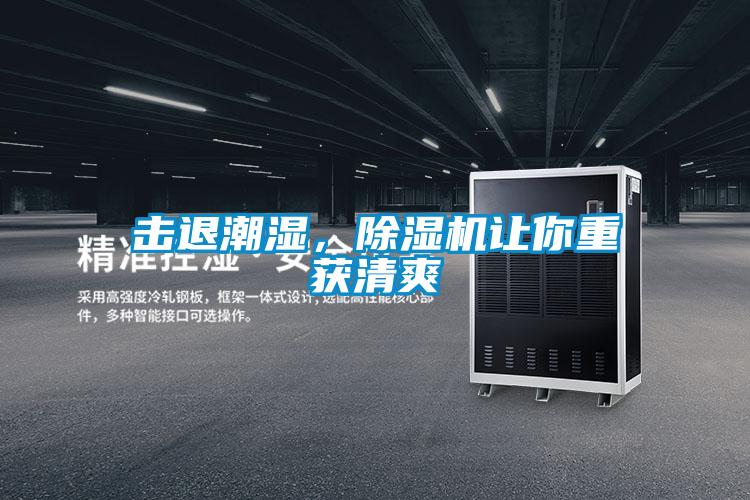 擊退潮濕，除濕機讓你重獲清爽