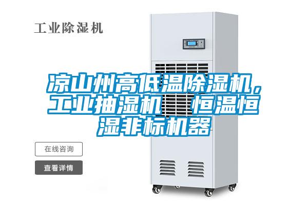 涼山州高低溫除濕機，工業(yè)抽濕機  恒溫恒濕非標(biāo)機器