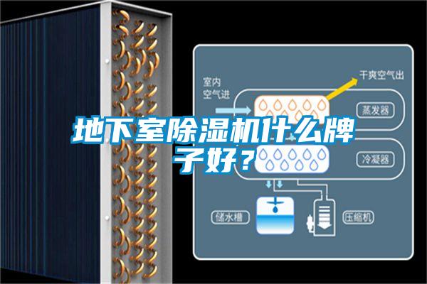 地下室除濕機(jī)什么牌子好？