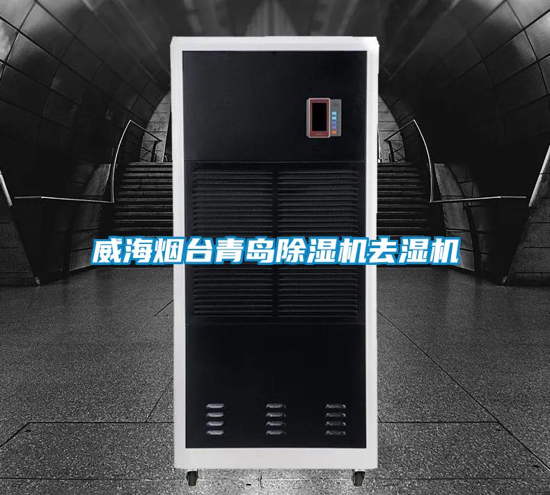 威海煙臺青島除濕機(jī)去濕機(jī)