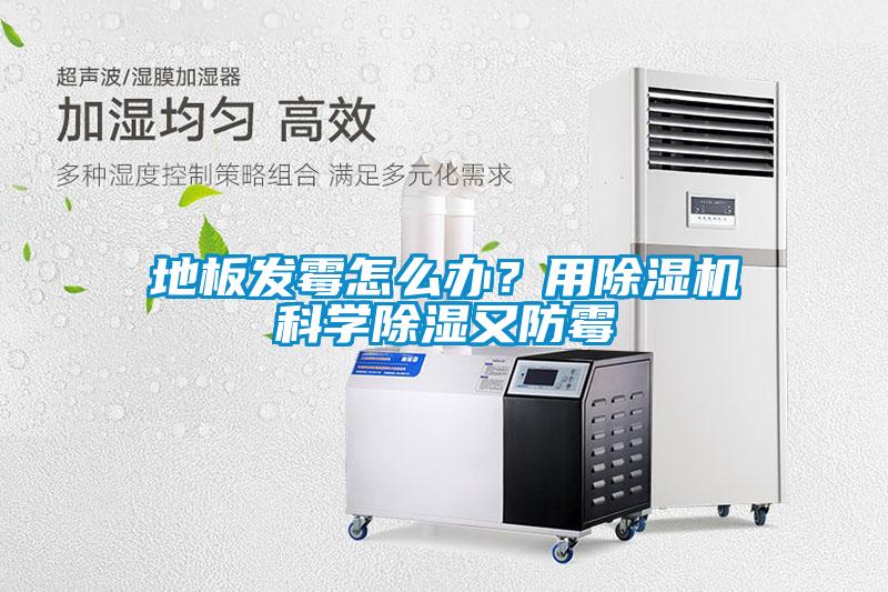 地板發(fā)霉怎么辦？用除濕機科學(xué)除濕又防霉