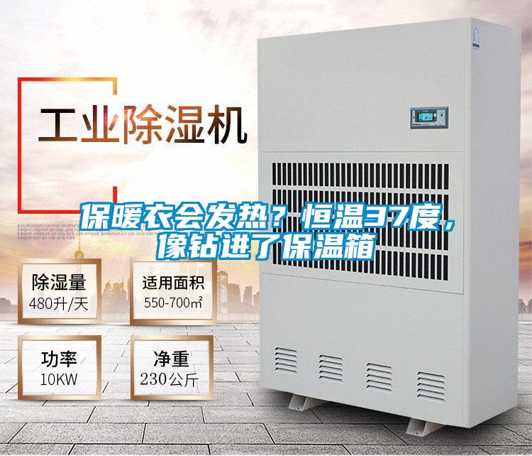 保暖衣會(huì)發(fā)熱？恒溫37度，像鉆進(jìn)了保溫箱