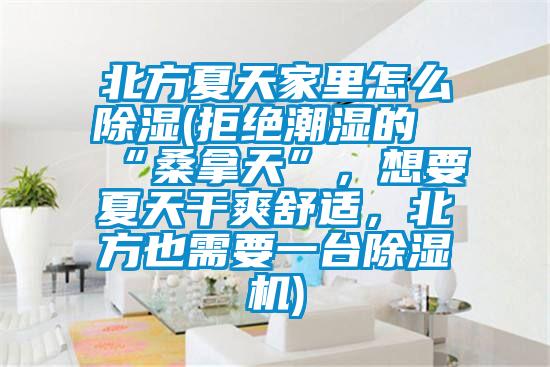 北方夏天家里怎么除濕(拒絕潮濕的“桑拿天”，想要夏天干爽舒適，北方也需要一臺除濕機)