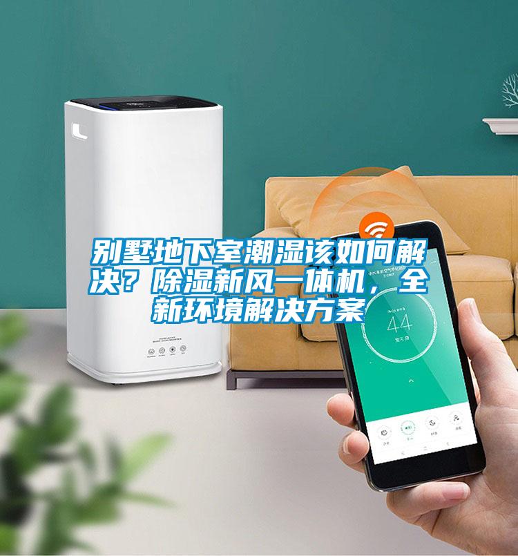 別墅地下室潮濕該如何解決？除濕新風(fēng)一體機(jī)，全新環(huán)境解決方案