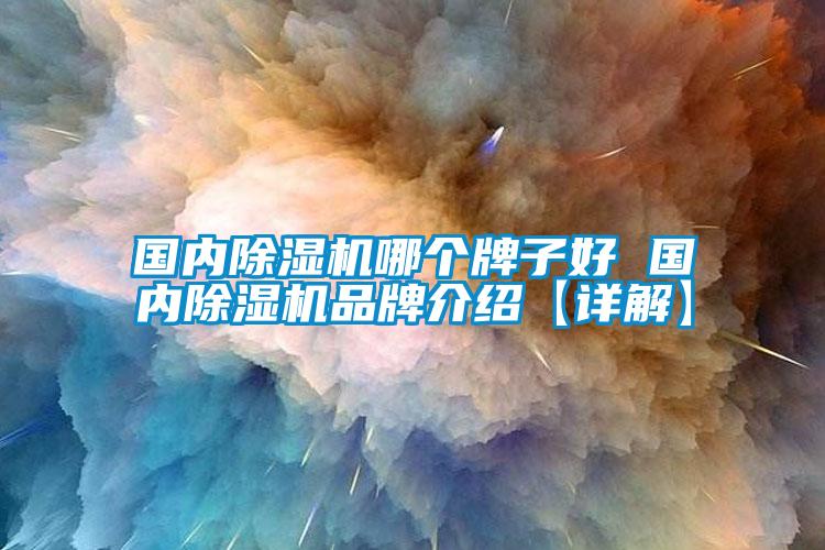 國內(nèi)除濕機(jī)哪個(gè)牌子好 國內(nèi)除濕機(jī)品牌介紹【詳解】