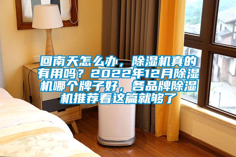 回南天怎么辦，除濕機真的有用嗎？2022年12月除濕機哪個牌子好，各品牌除濕機推薦看這篇就夠了