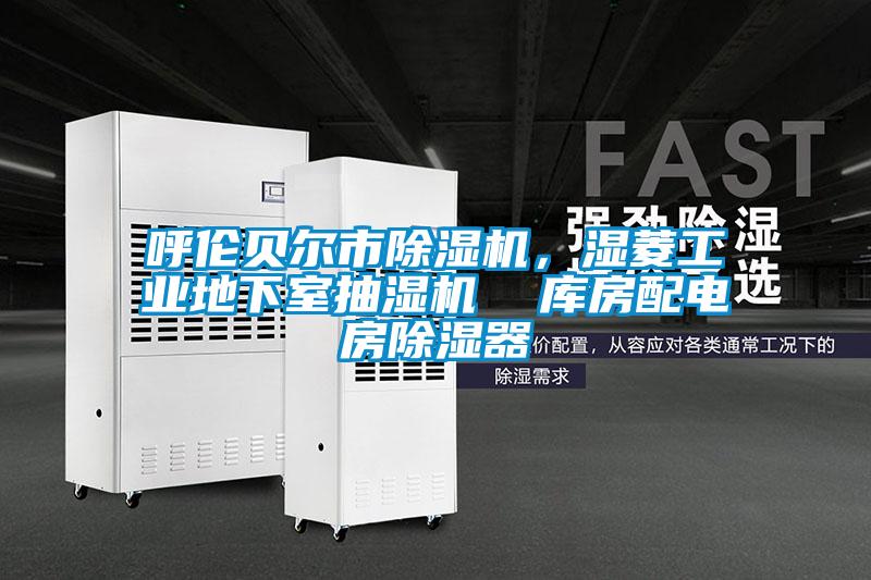 呼倫貝爾市除濕機，濕菱工業(yè)地下室抽濕機  庫房配電房除濕器