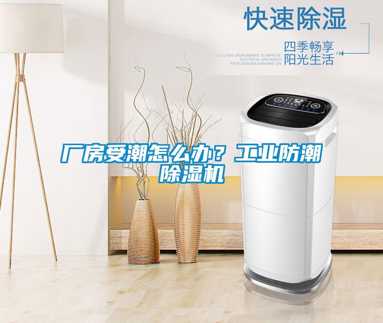 廠房受潮怎么辦？工業(yè)防潮除濕機(jī)