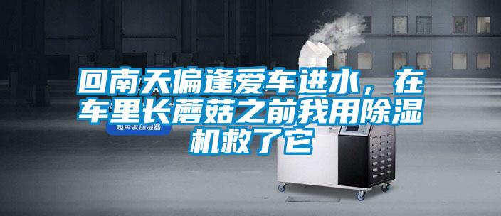 回南天偏逢愛(ài)車(chē)進(jìn)水，在車(chē)?yán)镩L(zhǎng)蘑菇之前我用除濕機(jī)救了它