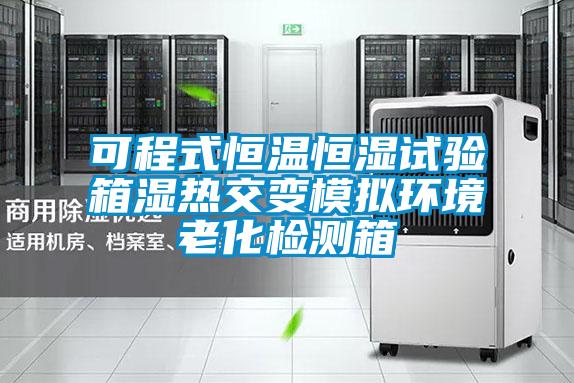 可程式恒溫恒濕試驗箱濕熱交變模擬環(huán)境老化檢測箱