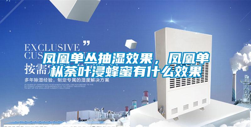 鳳凰單叢抽濕效果，鳳凰單樅荼葉浸蜂蜜有什么效果