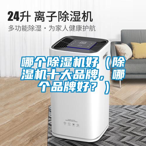 哪個(gè)除濕機(jī)好（除濕機(jī)十大品牌，哪個(gè)品牌好？）