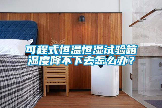 可程式恒溫恒濕試驗箱濕度降不下去怎么辦？