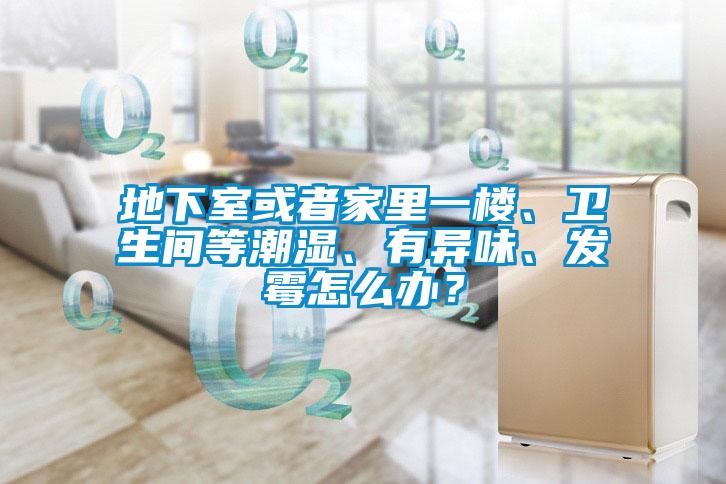 地下室或者家里一樓、衛(wèi)生間等潮濕、有異味、發(fā)霉怎么辦？