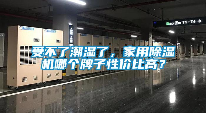受不了潮濕了，家用除濕機哪個牌子性價比高？