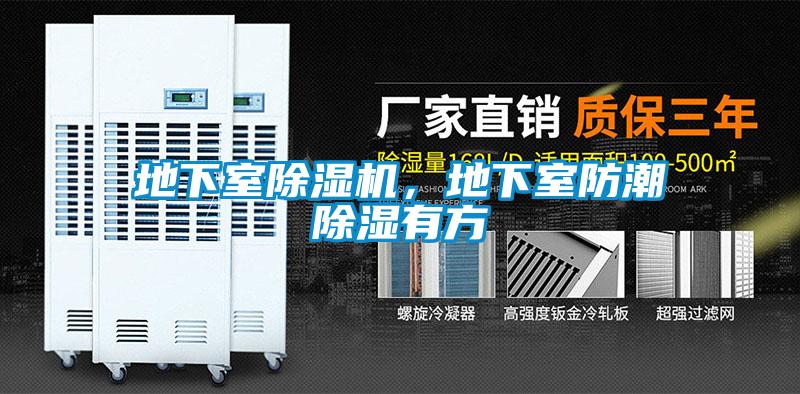 地下室除濕機，地下室防潮除濕有方