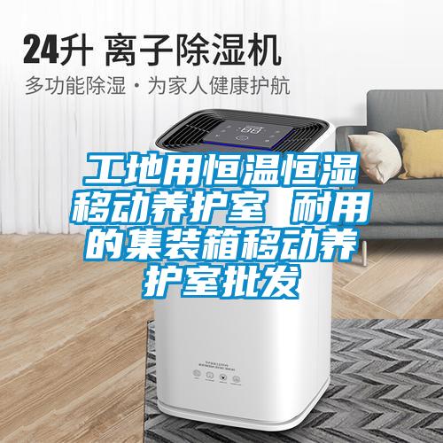 工地用恒溫恒濕移動養(yǎng)護(hù)室 耐用的集裝箱移動養(yǎng)護(hù)室批發(fā)