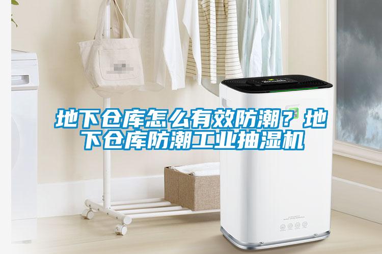 地下倉庫怎么有效防潮？地下倉庫防潮工業(yè)抽濕機