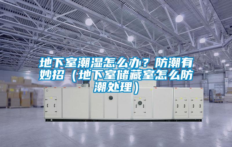 地下室潮濕怎么辦？防潮有妙招（地下室儲(chǔ)藏室怎么防潮處理）