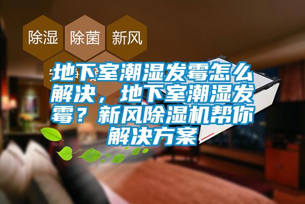 地下室潮濕發(fā)霉怎么解決，地下室潮濕發(fā)霉？新風(fēng)除濕機(jī)幫你解決方案