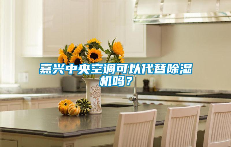 嘉興中央空調(diào)可以代替除濕機(jī)嗎？
